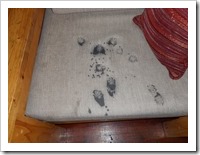 A chair in the teacher's lounge