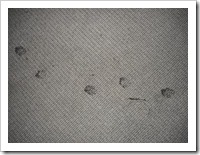 Footprints around the chapel