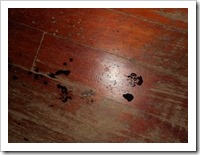 Footprints along the corridor