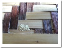 Evidence of the powderpost beetle