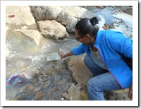 Ruth releasing the tadpoles into the river