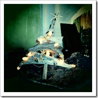 A Christmas tree made out of driftwood and starfish in our resort restaurant