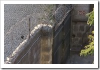 Bingham Academy defences