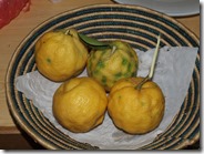 My spear-cut lemons