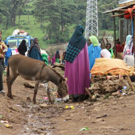 View larger image
