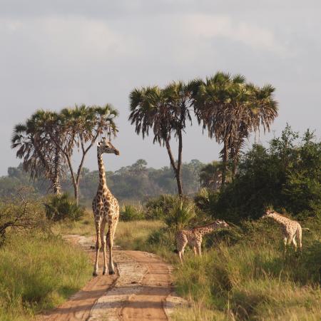 View larger image