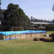 The swimming pool