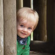 Elijah at the Farm Park